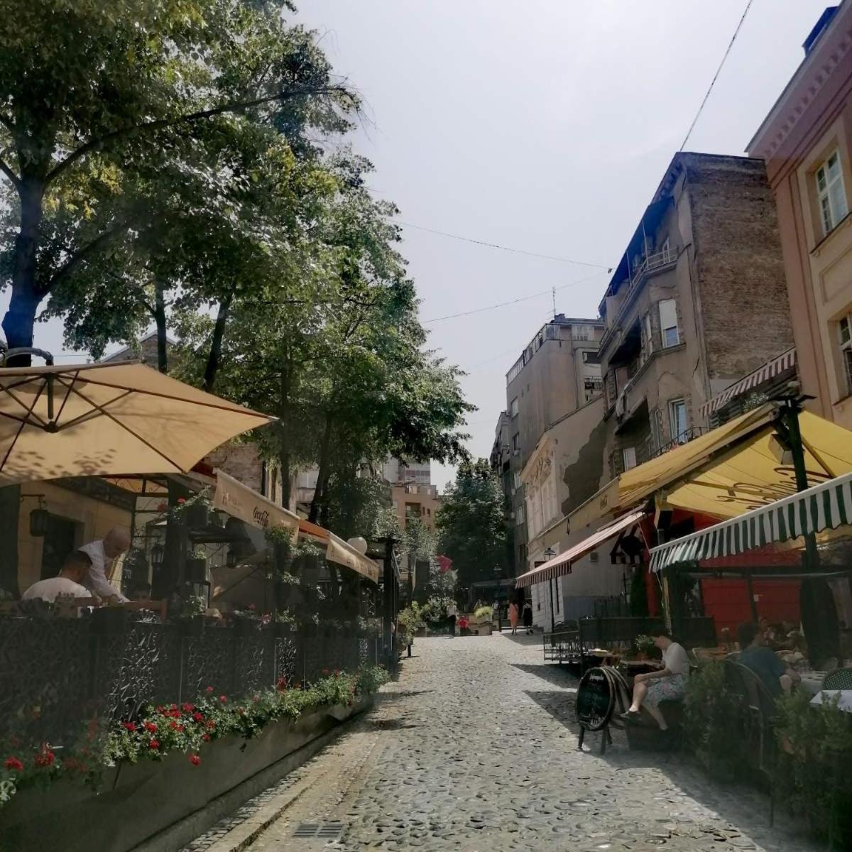 Studio Artuso Belgrad Dış mekan fotoğraf